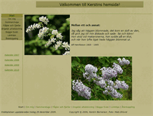 Tablet Screenshot of bernerson.com